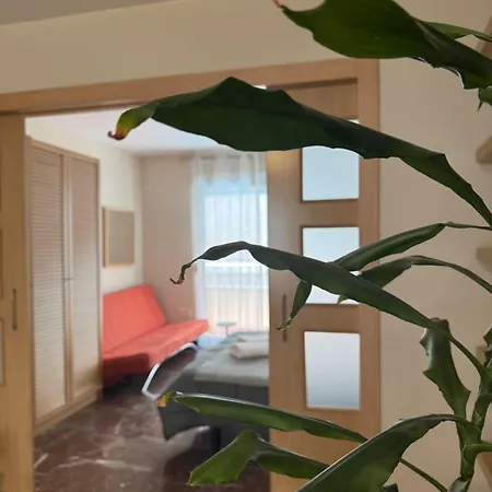 Apartment Constitucion Confort D *