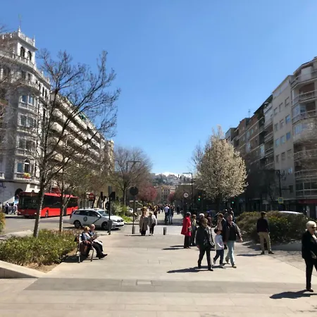 Constitucion Confort D