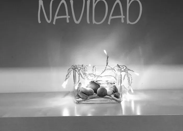 Apartment Constitucion Confort D Granada