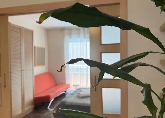 Apartment Constitucion Confort D *